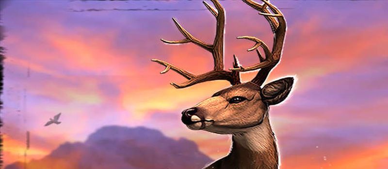 Deer hunter 4 cheats